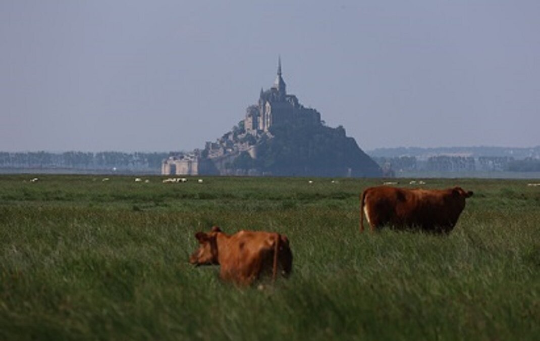 Nouvel essai d’article